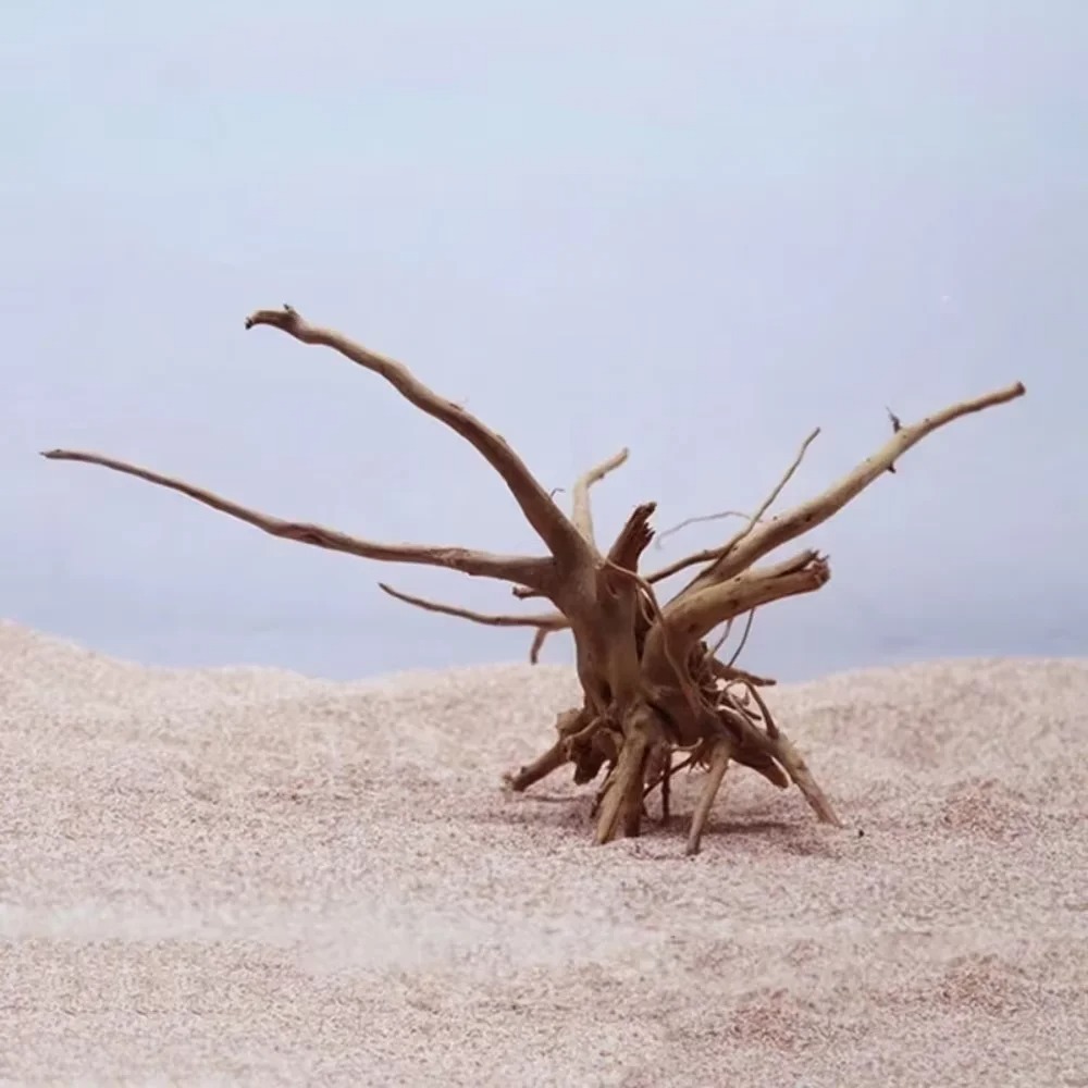 15-20CM Natural Driftwood Aqua - Aquarium Planted Substrate ulasan dan harga