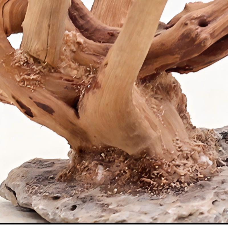 1PC Aquarium Landscaping Wood  - Aquarium Planted Substrate ulasan dan harga