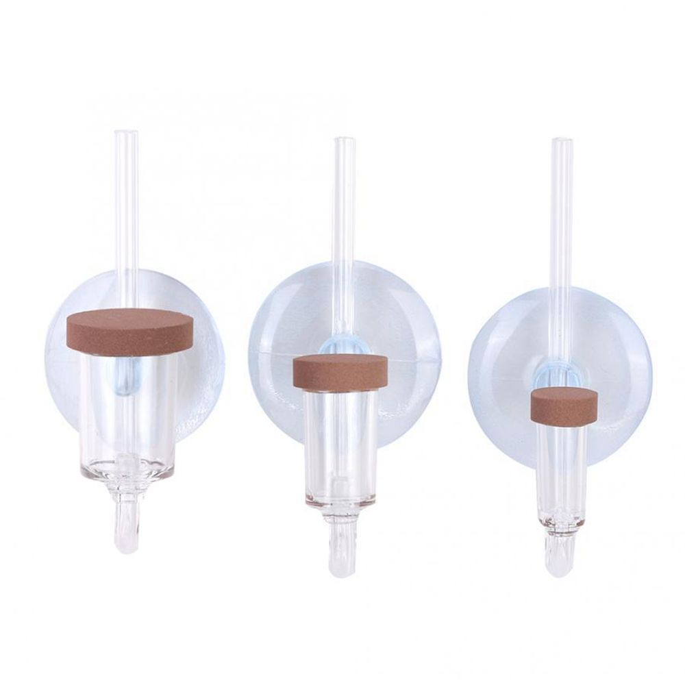 Acrylic Mini Fish Tank Live Pl - Planted Aquarium Mini ulasan dan harga