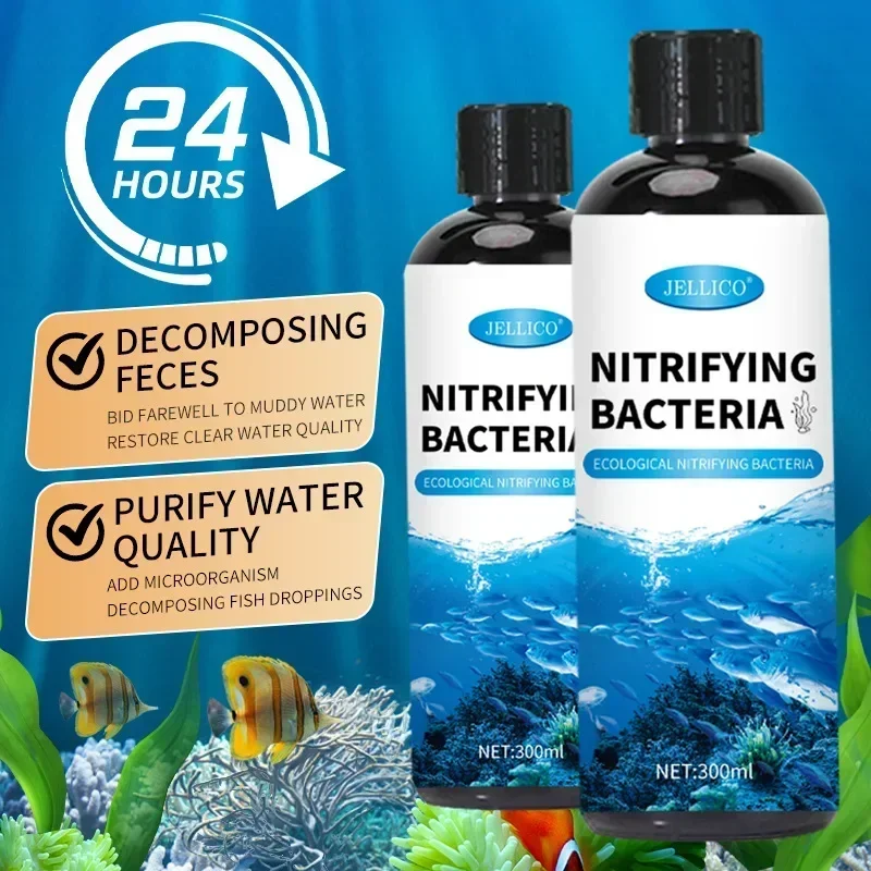 300ml Nitrifying Bacteria Liqu - Aquarium Plant Seeds ulasan dan harga