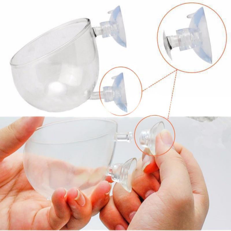 Aquarium Hanging Plant Pot Gla - Aquarium Plant Seeds ulasan dan harga