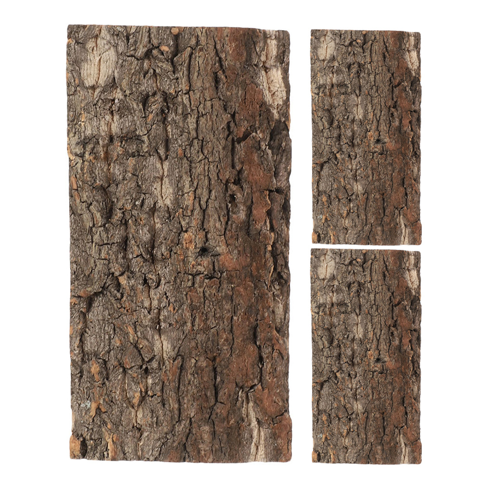 3pcs Cork Bark For Reptiles Te - Aquarium Planted Substrate ulasan dan harga