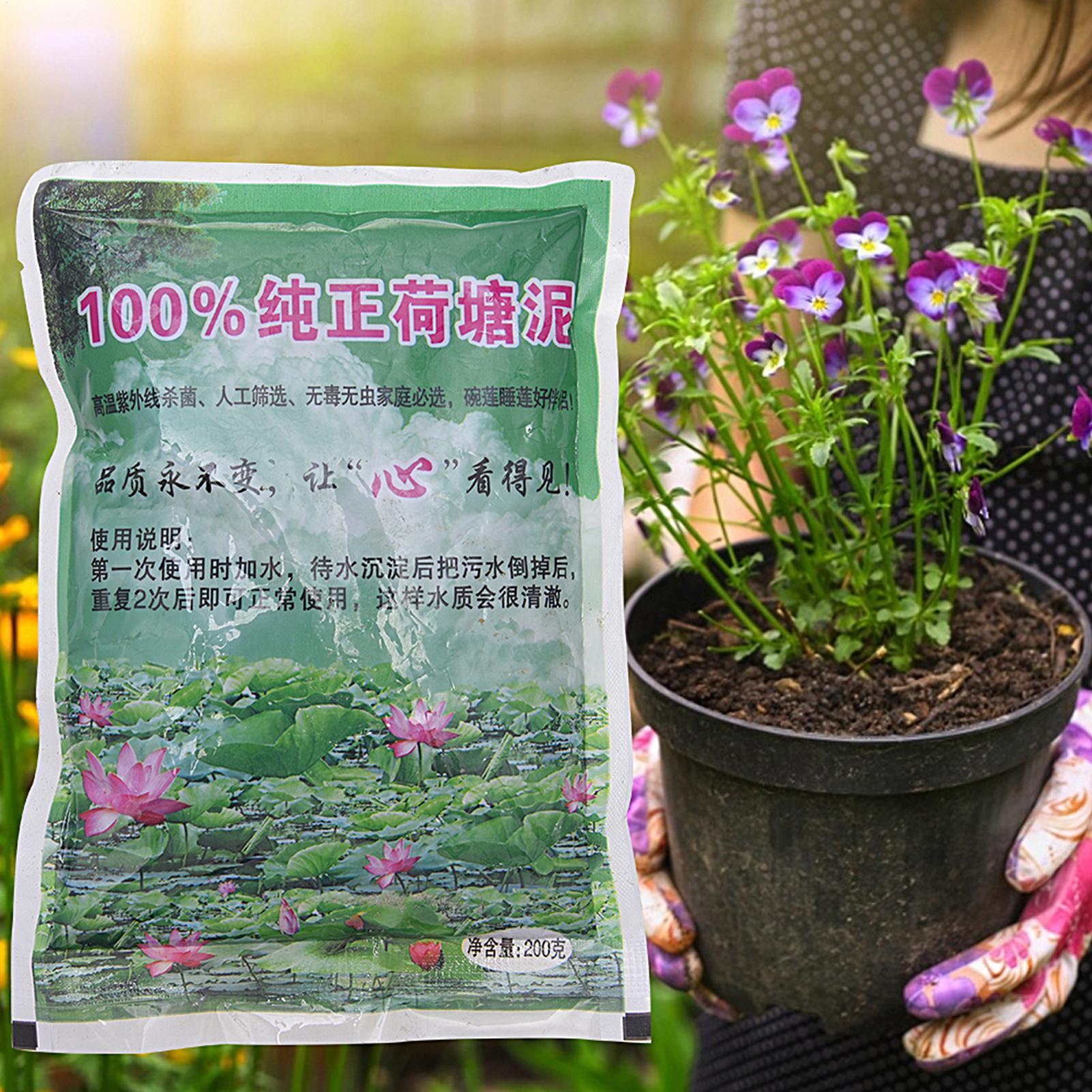 Aquatic Pond Nutrition Clay So - Aquarium Plant Seeds ulasan dan harga