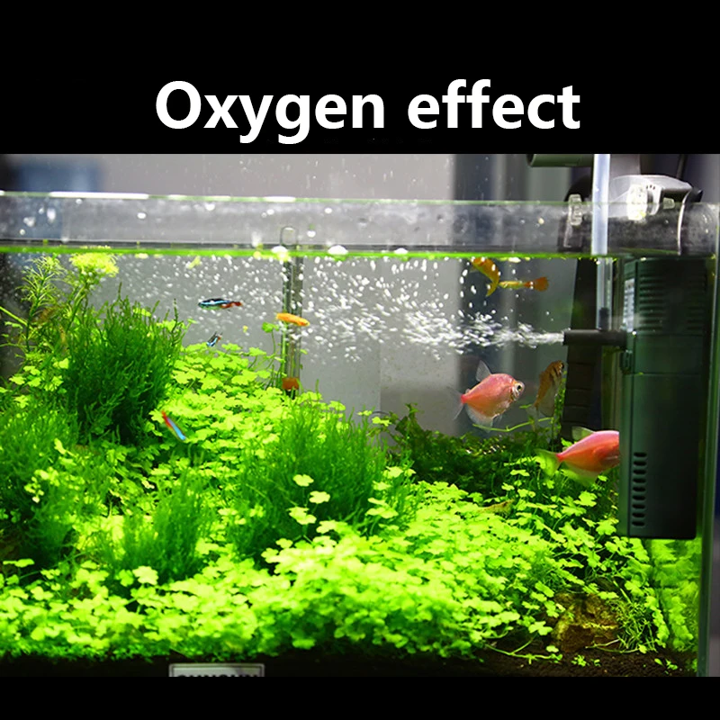 SUNSUN mini nano 111B 311B 611 - Planted Aquarium Mini ulasan dan harga