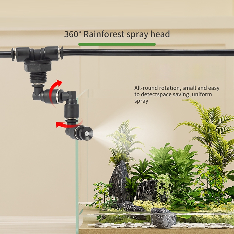 Water Plant Aquarium Rainfores - Planted Aquarium Tank Kit ulasan dan harga