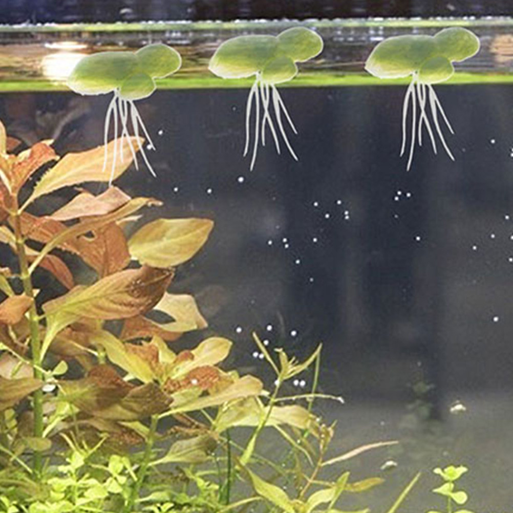 18Pcs Artificial Floating Duck - Planted Aquarium Mini ulasan dan harga